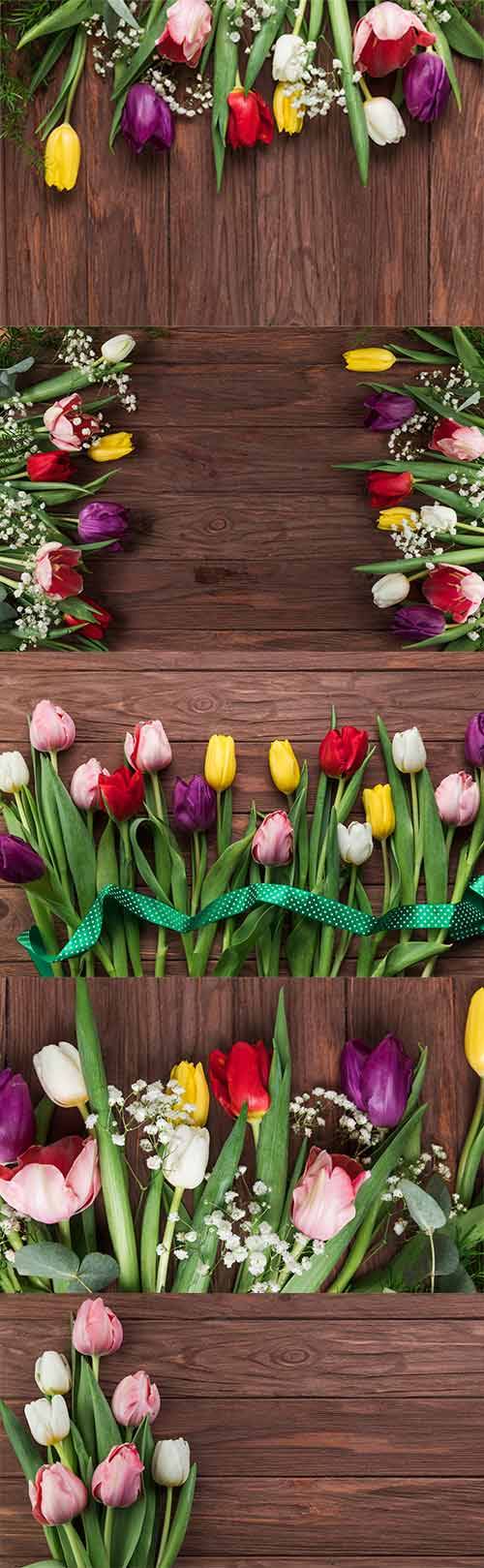  Фоны с красивыми тюльпанами - Растровый клипарт / Backgrounds with beautiful tulips - Raster clipart