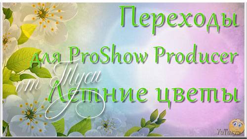  Переходы для ProShow Producer - Летние цветы