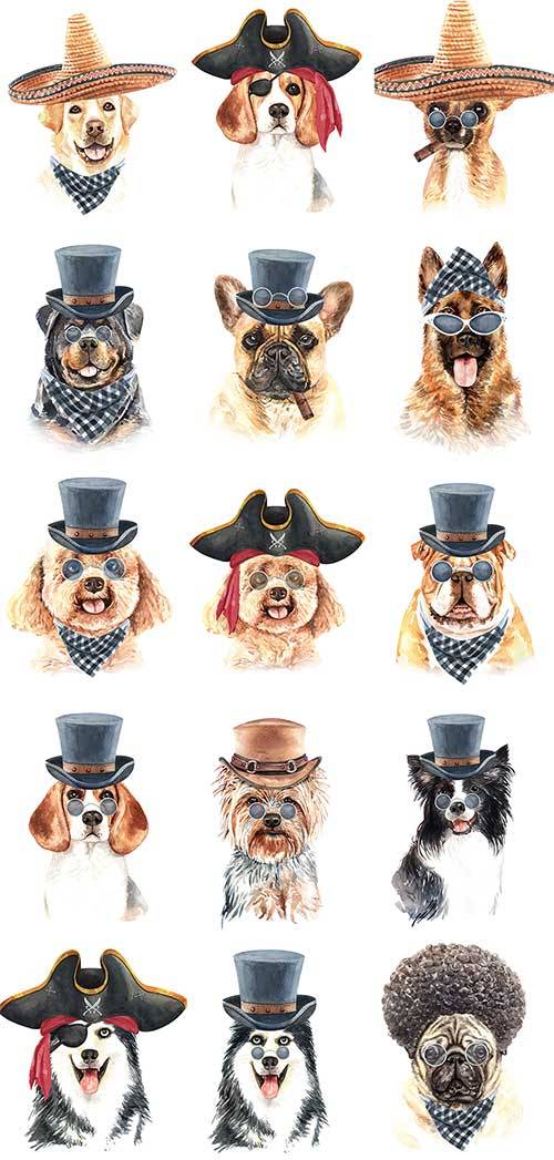 Собака в шляпе - Векторный клипарт / Dog in hat - Vector Graphics