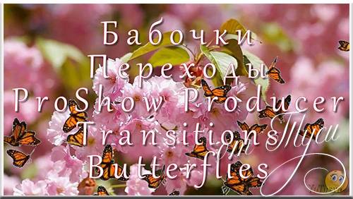 Переходы для ProShow Producer - Бабочки