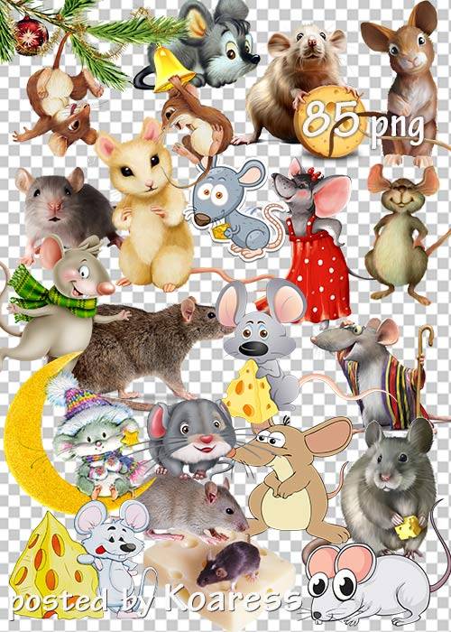 Мыши и крысы png - Mice and rats png