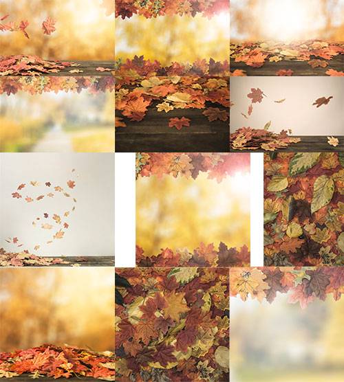 Осенние фоны с жёлтыми листьями / Autumn backgrounds with yellow leaves