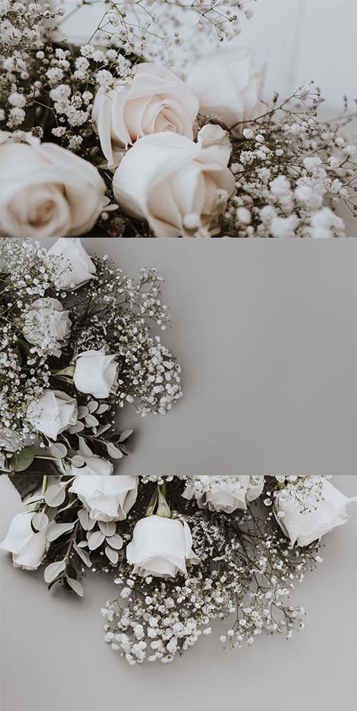Свадебные фоны с белыми розами - Растровый клипарт
