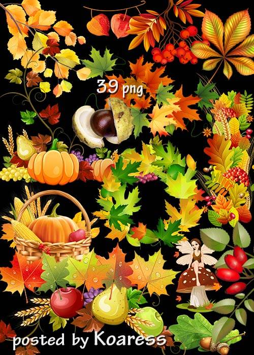 Набор осеннего клипарта в png - листья, урожай, бордюры, композиции из листьев