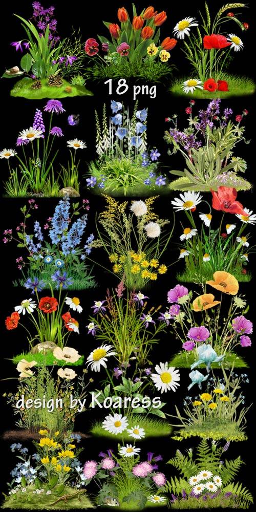 Png клипарт для дизайна Цветочные поляны -  Set of Png clipart Floral glades