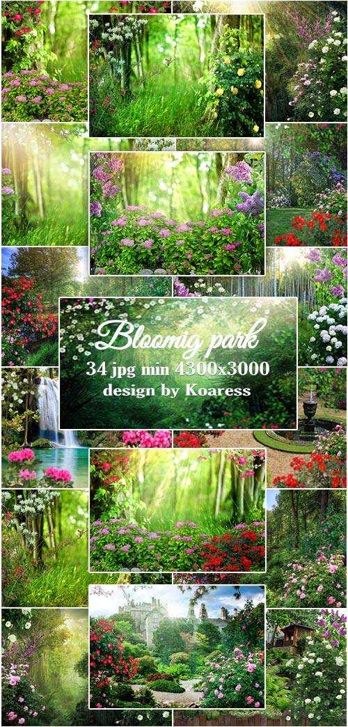 Фоны для коллажей Цветущий парк - Blooming park jpg backgrounds for collage ...