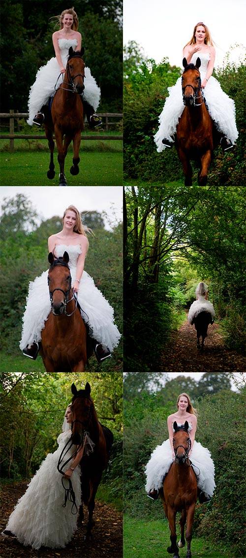 Невеста на лошади - Фотоклипарт