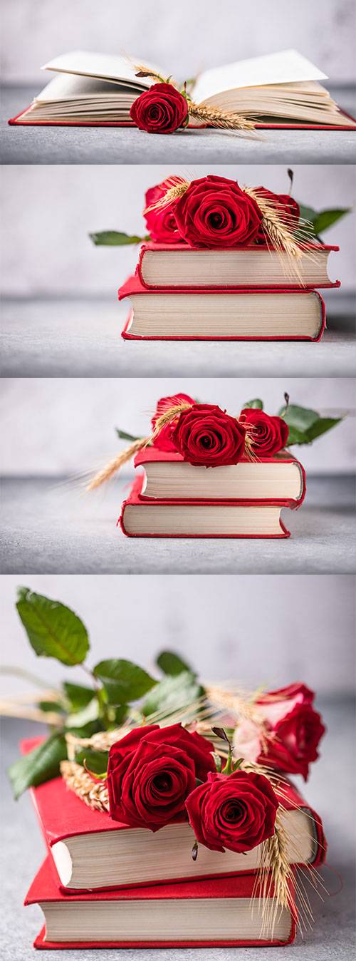 Фоны с книгой и красной розой - Растровый клипарт